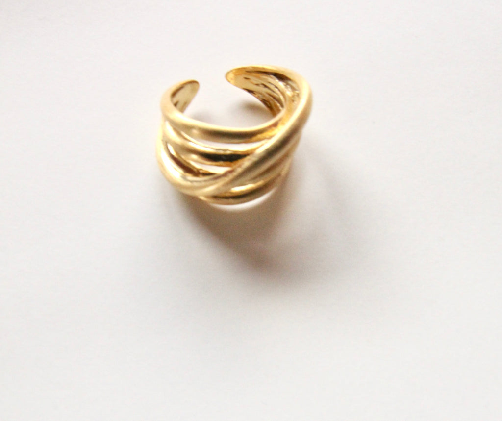 Anillo Reja