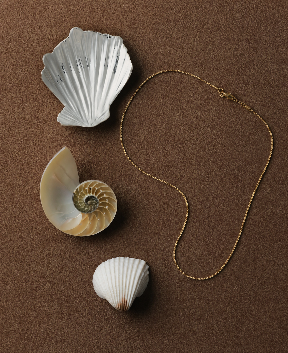 Collar Twist